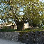 בית נופש Casa Da Pedra