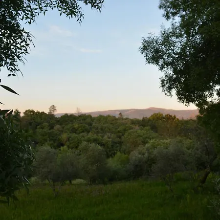 Prázdninový dům Casa Da Pedra