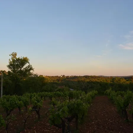 Casa Da Pedra Vakantiehuis