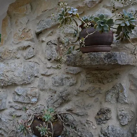 بيت للعطل Casa Da Pedra أنسياو