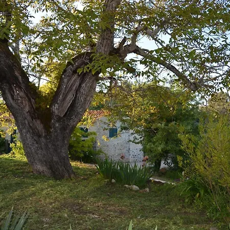 Casa Da Pedra *